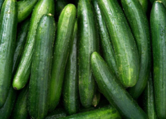 Superb Health Benefits of Cucumber